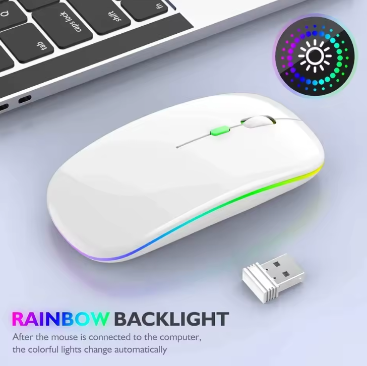 RATÓN INALÁMBRICO RECARGABLE RGB (GAMERPRO™)