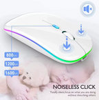 RATÓN INALÁMBRICO RECARGABLE RGB (GAMERPRO™)